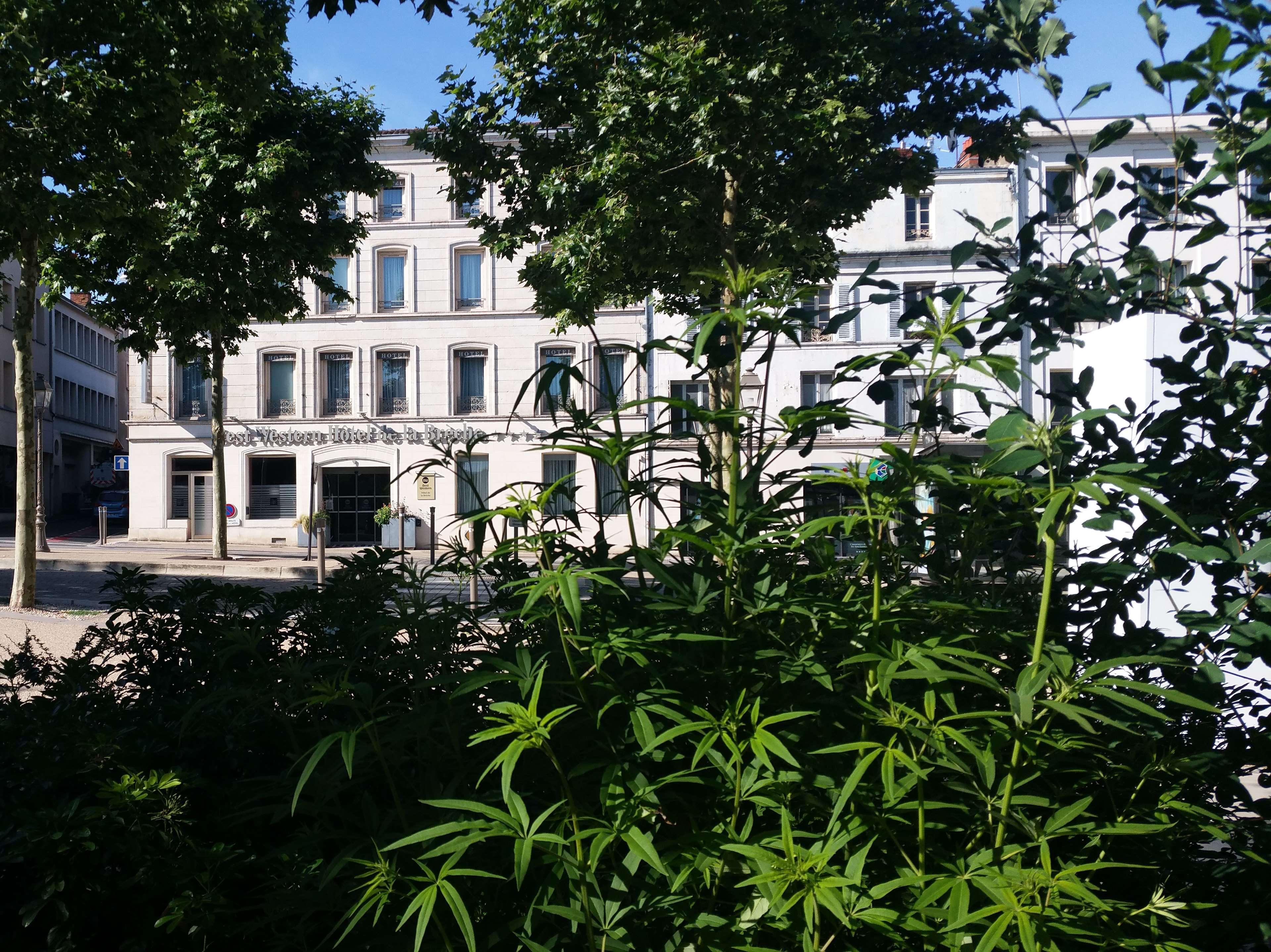 Best Western Hotel De La Breche Ніор Екстер'єр фото